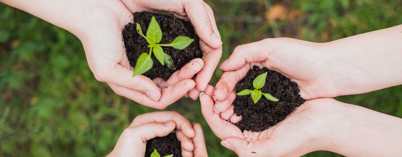 In the Community Black Creek Farm and Feed Supply